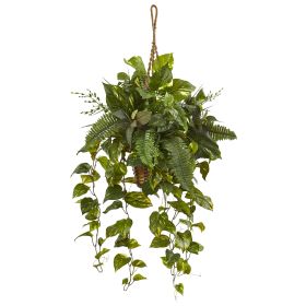 Mixed Pothos and Boston Fern in Hanging Basket