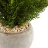 Cedar in Sand Colo Red Bowl (Indoor/Outdoor)