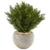 Cedar in Sand Colo Red Bowl (Indoor/Outdoor)