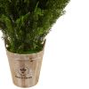 Cedar in Barrel Planter (Indoor/Outdoor)