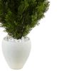 Cedar in White Textu Red Planter (Indoor/Outdoor)