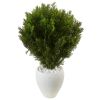 Cedar in White Textu Red Planter (Indoor/Outdoor)