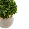 Eucalyptus in Bowl UV Resistant (Indoor/Outdoor)