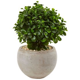 Eucalyptus in Bowl UV Resistant (Indoor/Outdoor)