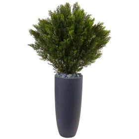 Cedar in Cylinder Planter (Indoor/Outdoor)