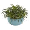 Succulent Artificial Plant in Blue Planter