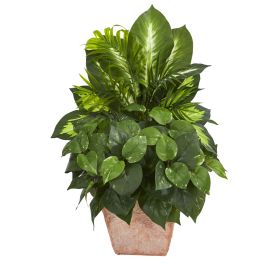Mix Greens Artificial Plant in Terracotta Planter