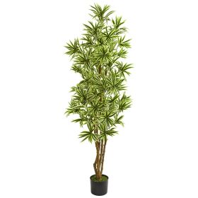 Dracaena Reflexa Artificial Plant