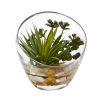 Spiky Succulent Artificial Plant in Glass (Set of 2)