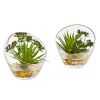 Spiky Succulent Artificial Plant in Glass (Set of 2)