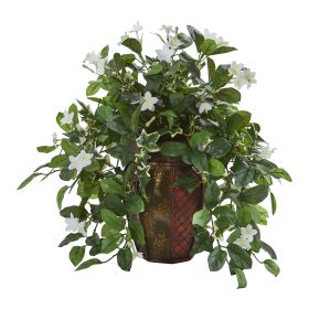 Stephanotis and Ivy Plant in Decorative Planter