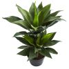 Double Agave Succulent Artificial Plant
