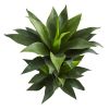 Double Agave Succulent Artificial Plant