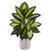 Dieffenbachia Plant in Marble Planter (Set of 2)