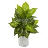 Dieffenbachia Plant in Marble Planter (Set of 2)