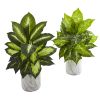 Dieffenbachia Plant in Marble Planter (Set of 2)