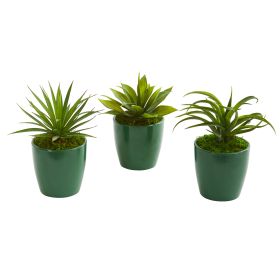 Mini Agaves Artificial Plant in Green Planter (Set of 3)