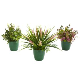 Eucalyptus Grass and Sedum Plant in Planter (Set of 3)