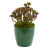 Sedum Artificial Plant in Green Planter (Set of 2)