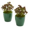Sedum Artificial Plant in Green Planter (Set of 2)