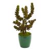 Succulent Artificial Plant in Green Planter (Set of 2)