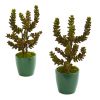 Succulent Artificial Plant in Green Planter (Set of 2)