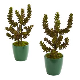 Succulent Artificial Plant in Green Planter (Set of 2)