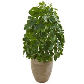 Schefflera Plant in Sand Colo Red Planter (Real Touch)