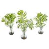 Mini Acera Palm Artificial Plant in Vase (Set of 3)