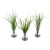 Grass Artificial Plant in Vase (Set of 3)