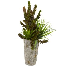 Succulent and Grass Garden Plant in Weathe Red Planter