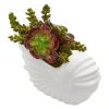 Succulent Garden Artificial Plant in Shell Planter