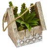 Succulent Garden Plant in Birdhouse Hanging Planter