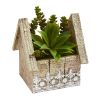 Succulent Garden Plant in Birdhouse Hanging Planter