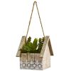 Succulent Garden Plant in Birdhouse Hanging Planter