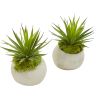 Spiky Agave Artificial Plant in Planter (Set of 2)