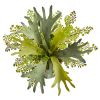 Staghorn and Maiden Hair Fern Plant in Weathe Red Vase