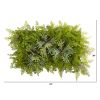 Staghorn and Fern Artificial Living Wall