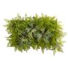 Staghorn and Fern Artificial Living Wall