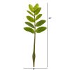 Zamioculcas Artificial Flower Stem (Set of 12)