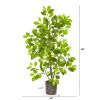 Ficus Artificial Tree in Planter