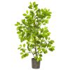 Ficus Artificial Tree in Planter