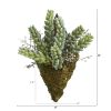 Sedum Succulent Artificial Wall Decor Plant (Set of 3)