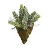 Sedum Succulent Artificial Wall Decor Plant (Set of 3)