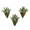 Sedum Succulent Artificial Wall Decor Plant (Set of 3)