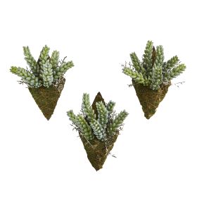 Sedum Succulent Artificial Wall Decor Plant (Set of 3)