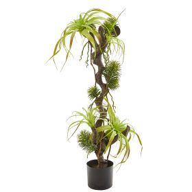 Air Plant and Succulent Jungle Artificial Plant