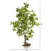Schefflera Bonsai Artificial Plant in Planter