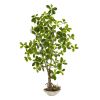 Schefflera Bonsai Artificial Plant in Planter