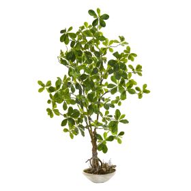Schefflera Bonsai Artificial Plant in Planter